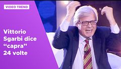 Vittorio Sgarbi dice "capra" 24 volte