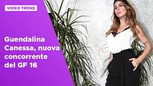 Guendalina Canessa, la nuova concorrente del GF 16