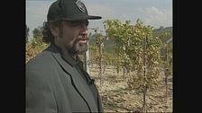 Diego Abatantuono parla a Ciak del film "Il barbiere di Rio"