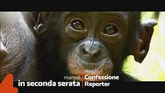 Confessione Reporter: martedì in seconda serata