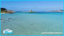 Anticipazione puntata 5 - Summer Beach