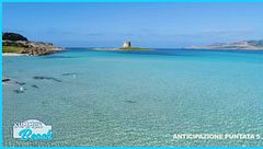 Anticipazione puntata 5 - Summer Beach