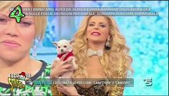 I Nuovi Mostri, il cane incontinente della Cipriani