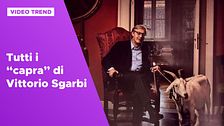 Tutte le volte che Vittorio Sgarbi ha detto "capra"