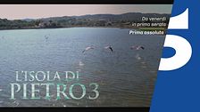 Gianni Morandi ne "L'Isola di Pietro 3"