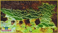 Il Dallol, un cratere vulcanico dalle caratteristiche uniche