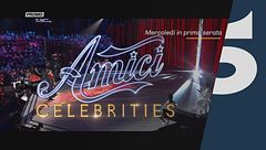 Chi vincerà la Finale di Amici Celebrities?