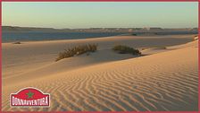 Dakhla: un'oasi nel Sahara Occidentale