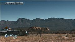 E-Planet Doc: La corsa del Ghepardo