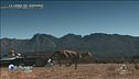 E-Planet Doc: la corsa del Ghepardo