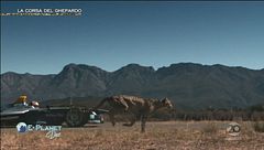E-Planet Doc: la corsa del Ghepardo