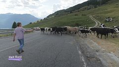 Senza Trucco - Storie di ordinaria indipendenza: Luciana