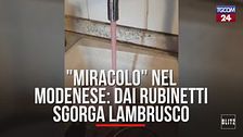 "Miracolo" nel Modenese: dai rubinetti sgorga Lambrusco