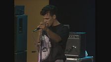 1987: i Timoria vincono Rock Targato Italia nel 1987