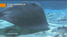 L'avventura cambia orario!