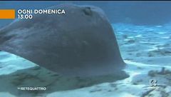 L'avventura cambia orario!