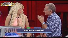 Il sessatore di pulcini