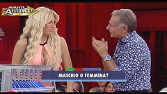 Il sessatore di pulcini