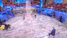 Francesca Vs. Briga