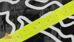 Puntata dell'11 novembre