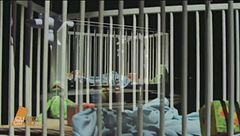 Puntata del 28 ottobre