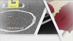 Puntata del 12 dicembre - Speciale Delitto Garlasco