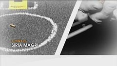 Puntata del 20 febbraio