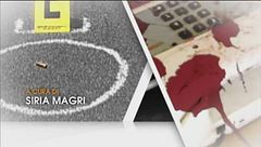 Puntata del 23 gennaio