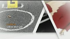 Puntata dell'8 novembre