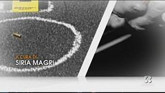 Puntata del 17 gennaio