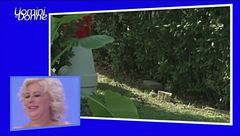 Il tempo delle more - reloaded