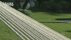 Coccolati dall'amaca