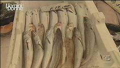 La favola di Franca e Pasquale - V^ parte