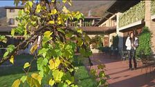 Alla scoperta della Franciacorta