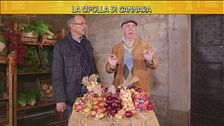 La cipolla di Cannara