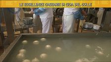 Le eccellenze casearie di Gioa del Colle