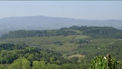 Un'arte di famiglia a Cavriglia