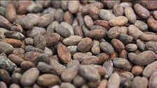Si, al cioccolato fondente