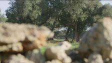 Parco Agricolo multifunzionale dei Paduli