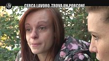 RUGGERI: Cerca lavoro, trova un porcone