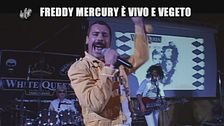 LUCCI: Freddy Mercury è vivo e vegeto