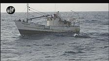 TRINCIA: Vita da infiltrato