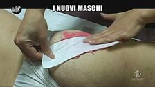 LUCCI: I nuovi maschi