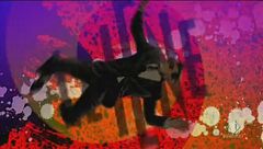 Puntata del 14 novembre