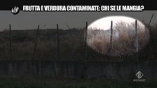 TOFFA: Frutta e verdura contaminati