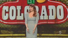 Pino e gli Anticorpi