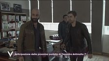Cosa succederà alla Cantalupo?
