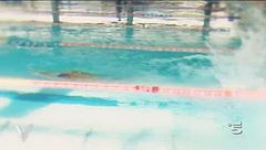 L'allievo ed il maestro.