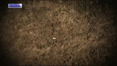 Puntata dell'11 novembre