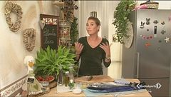 Palamita lessa